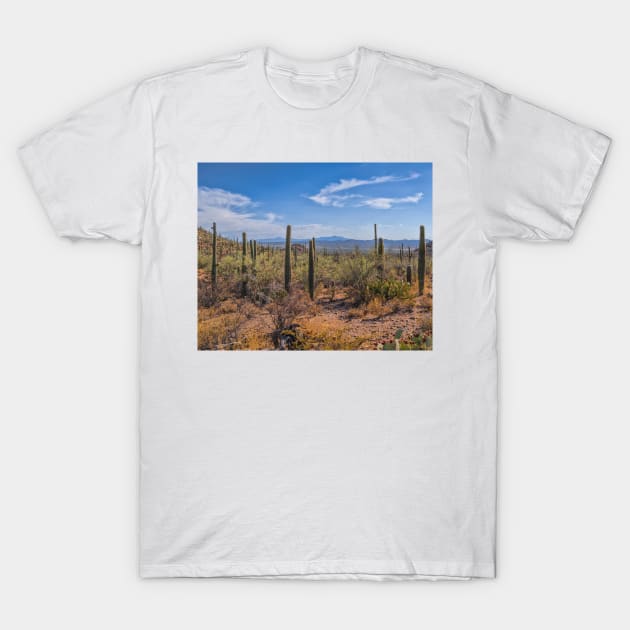 Kitt Peak T-Shirt by MCHerdering